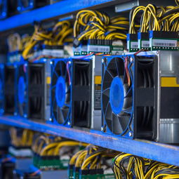 Professional mining farm with advanced cooling systems