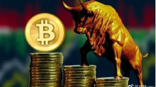 Dogecoin Mining Farm Equipment Operating Efficiently
