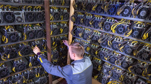 A view of a mining farm packed with numerous mining rigs, showcasing the scale of operation and infrastructure.