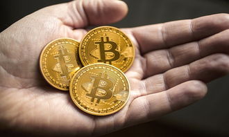 Bitcoin mining farm with rows of ASIC miners generating substantial hash power